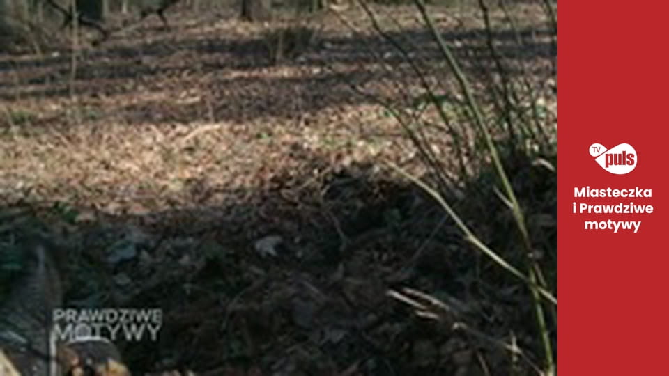 Prawdziwe motywy Sezon 1 Odcinek 23 - Córka bogacza