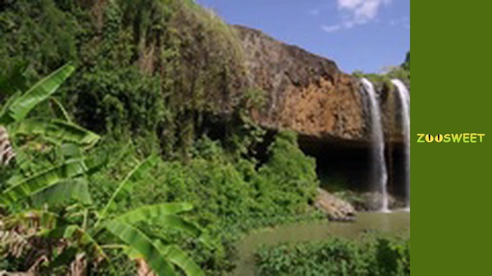 World of the Wild - episode 13