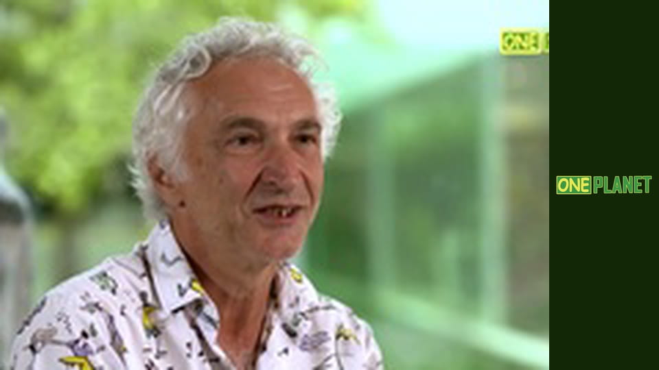 Мистецтво простору, 54 еп.