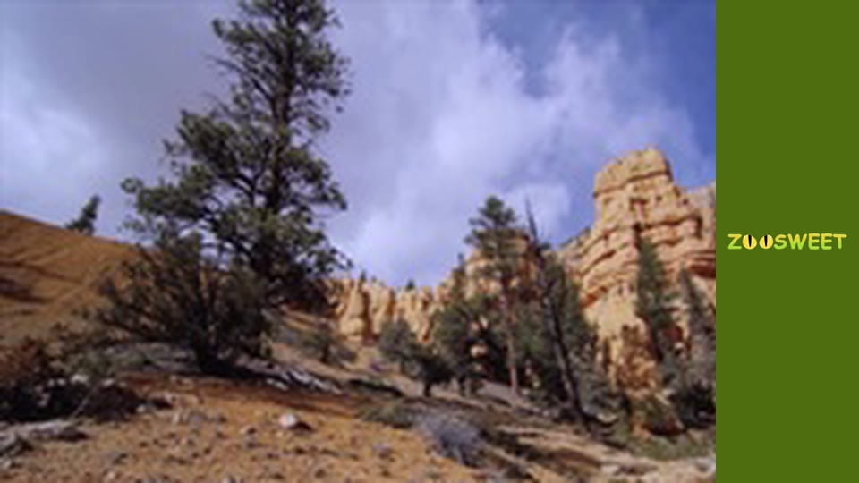 World of the Wild - episode 12