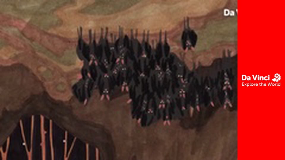 Młode zwierzaczki - Nietoperze