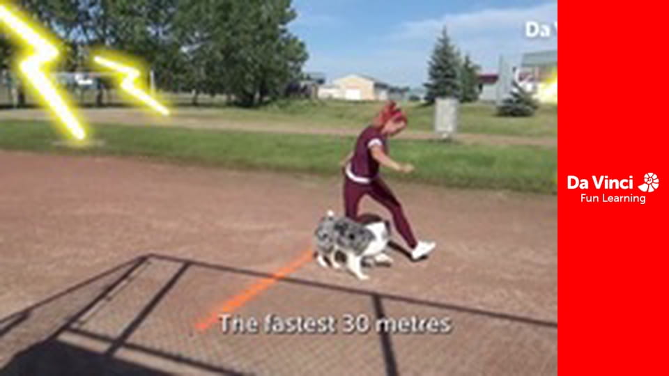 Один талант - Андреа А: артистка с обручем