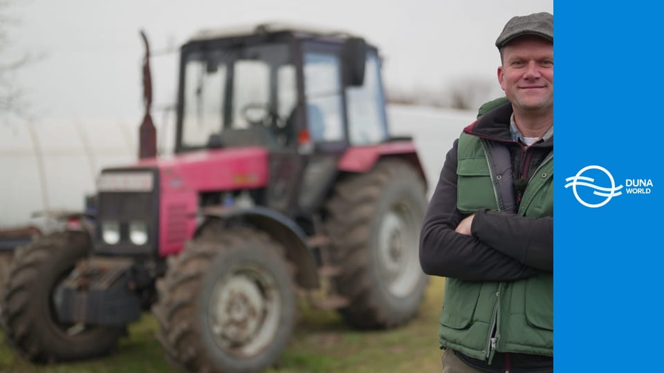 Sípos gazda házhoz megy - Rózsa