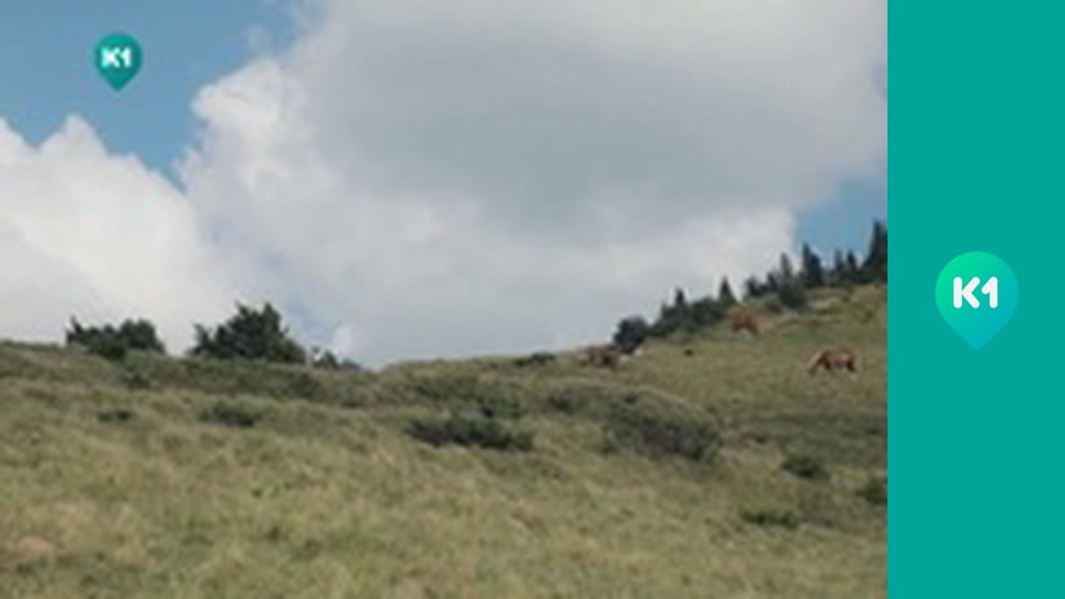 "Крафтові мандри" з Євгеном Синельниковим.