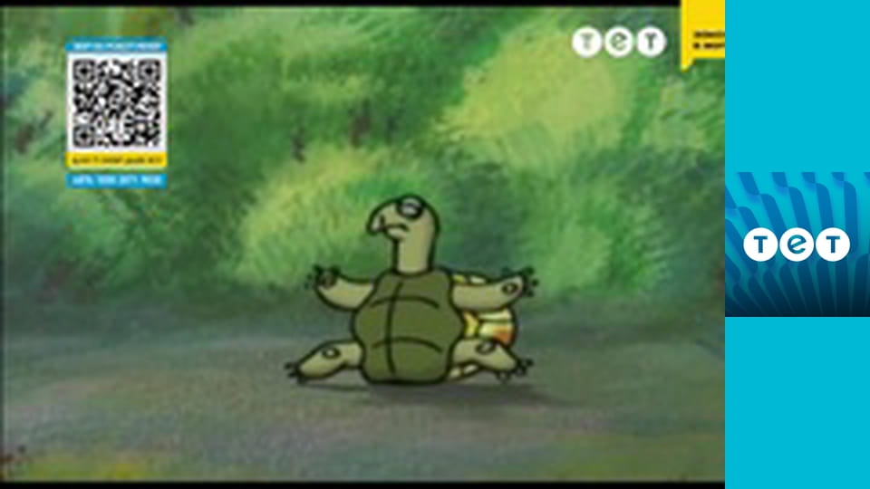 Чого в лісі не буває