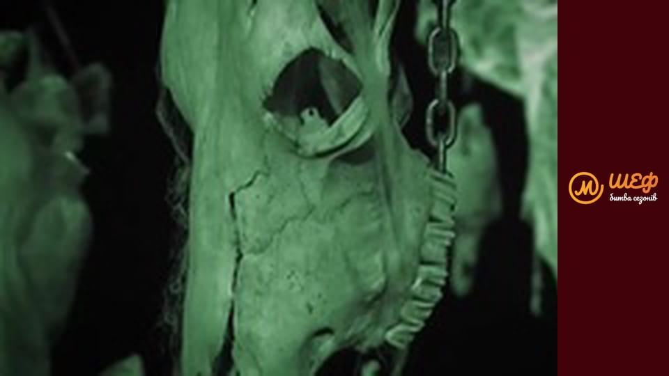 MasterChef Culinary Graduation, Season 1, Episode 8, Part 1