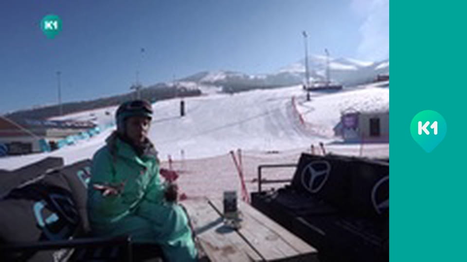 "Пригоди з Яною Метьолкіною".