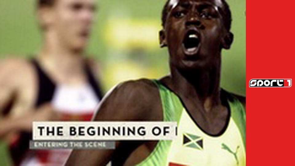 Lední hokej - Lausanne - SCL Tigers