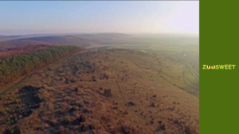 World of the Wild - episode 5