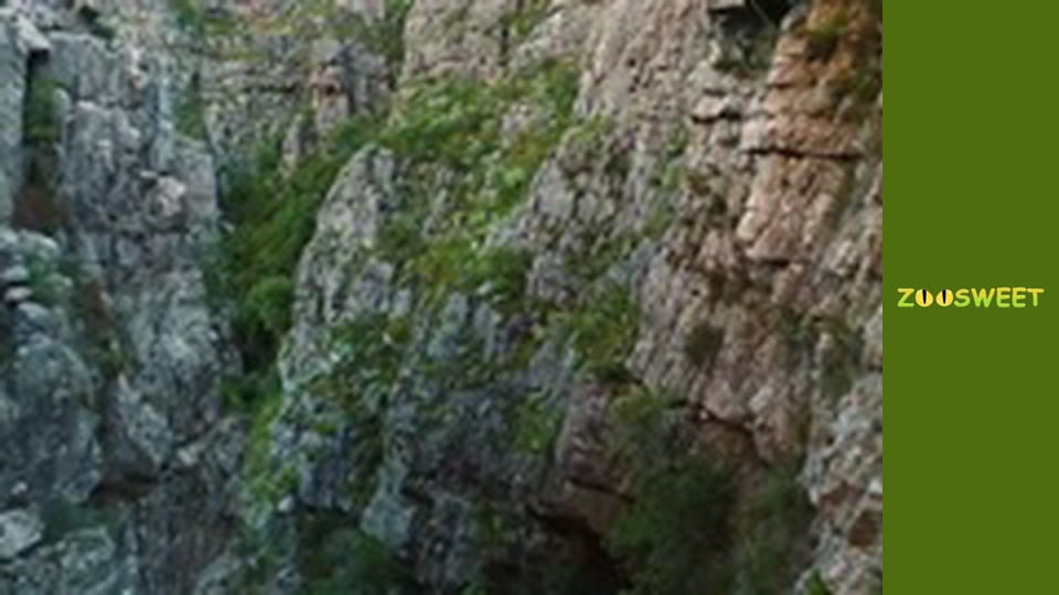 Siaya, Season 2, Episode 7