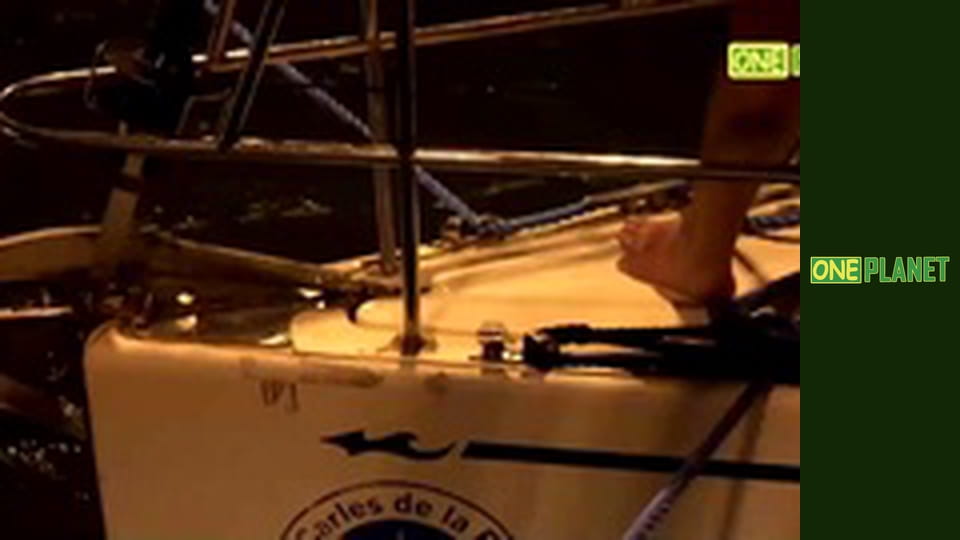 Дальние берега, 2 сезон, 14 эп.