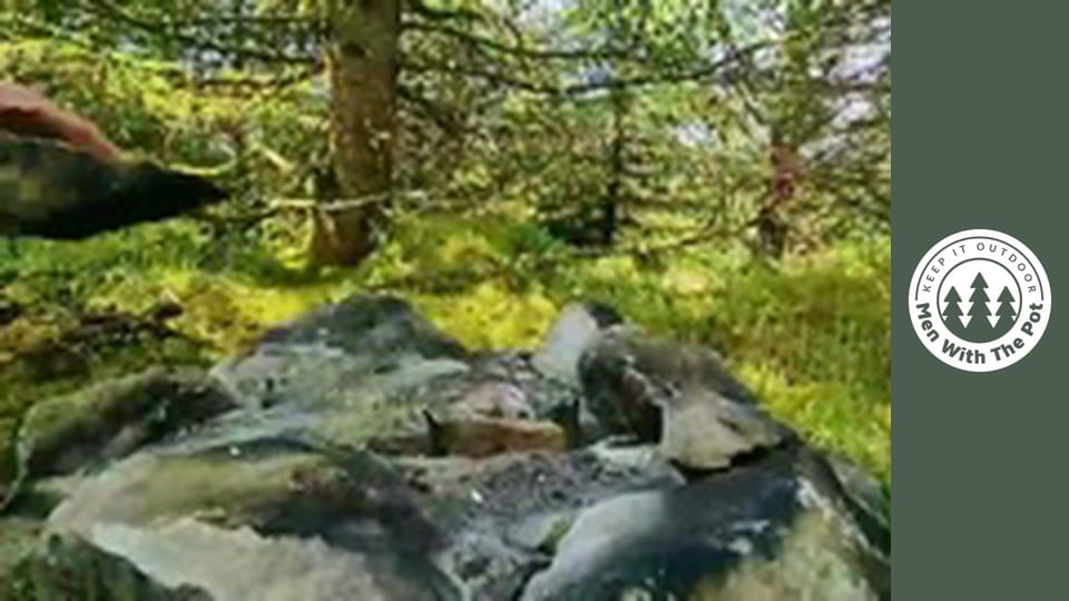 Sýrové tortilly s křupavým nádechem