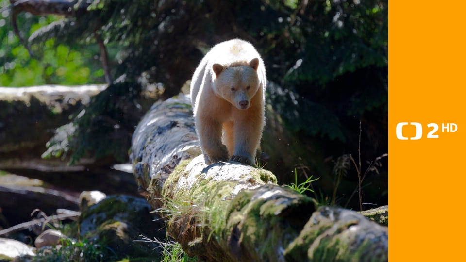 Kouzelné momenty přírody