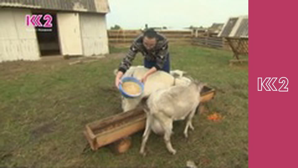 Шість соток S2E6