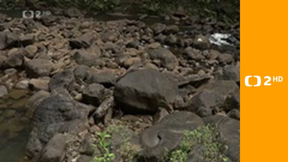 Havaj, cesta ke kořenům