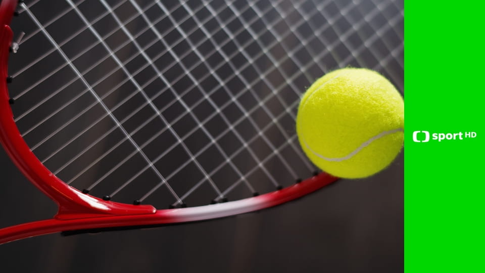 OKsystem Zlatý kanár