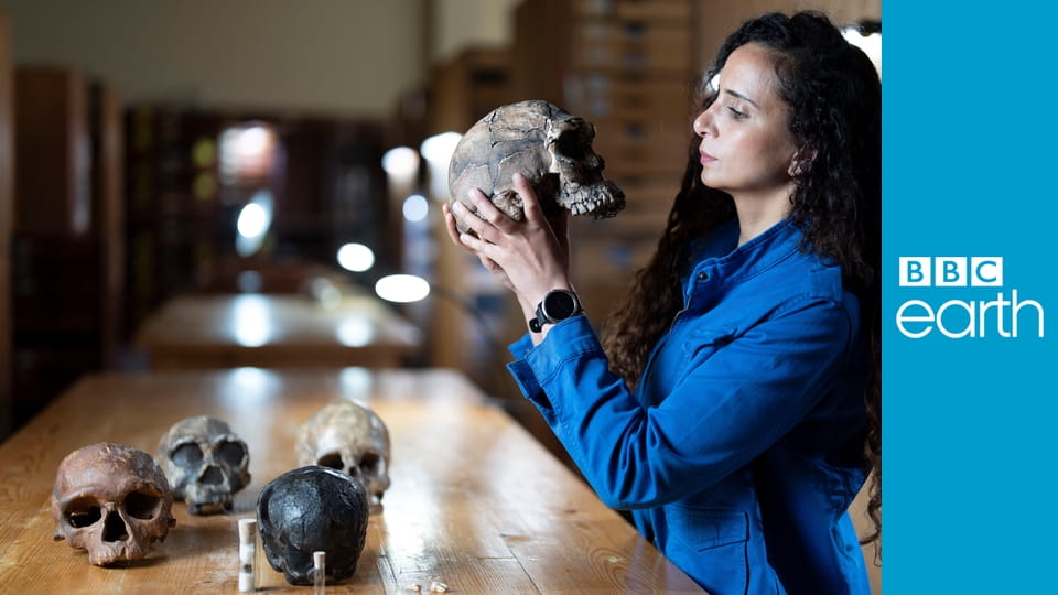 Human S1E3 - Last Humans Standing