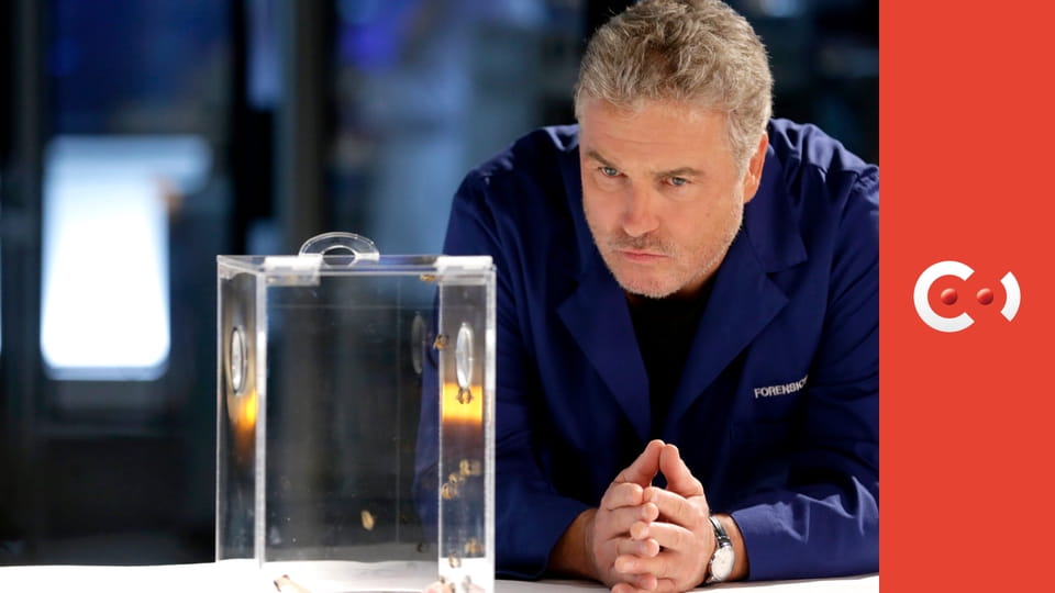 CSI: Las Vegas-i helyszínelők S1E1 - Örökség