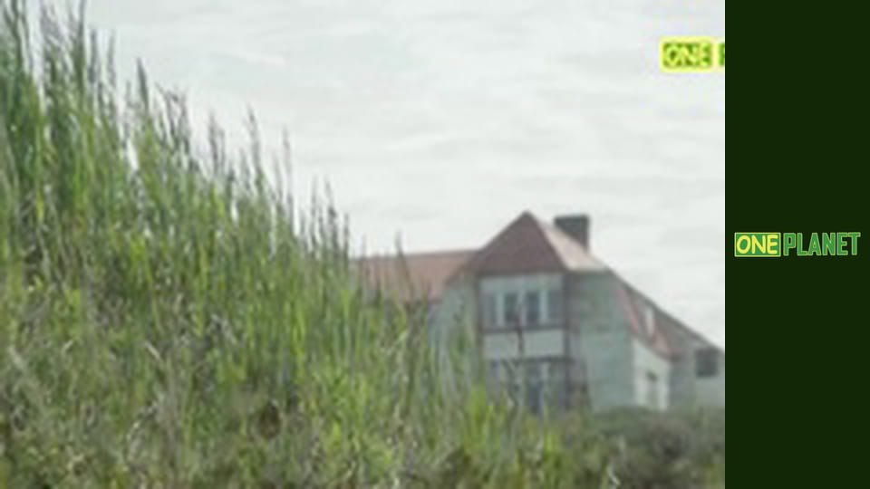 Лицом к лицу с волной, 1 эп.