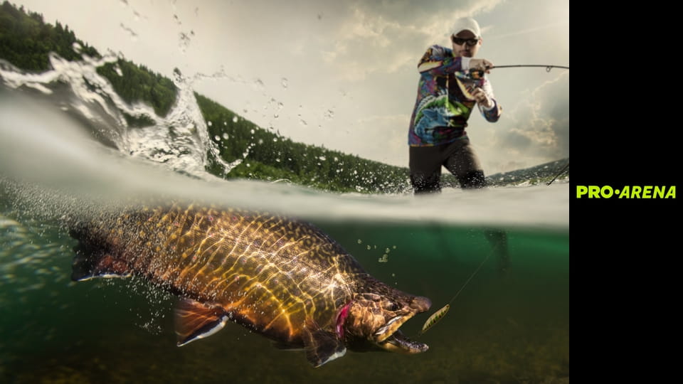 Căutătorul de monştri