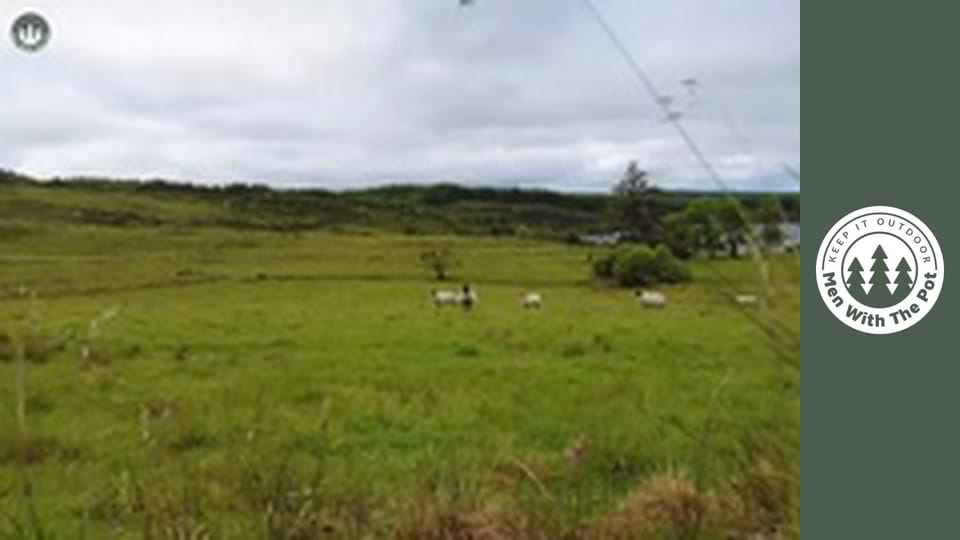Sandviș Crocant de Pui cu Maioneză Făcută în Pădure