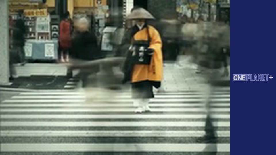 Interesting, Season 1, Episode 7