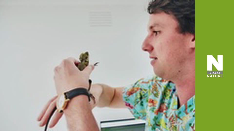 The Bizarre Pet Vets - Episode 2