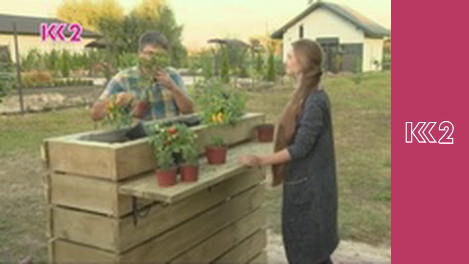 Удачний проект S1E2