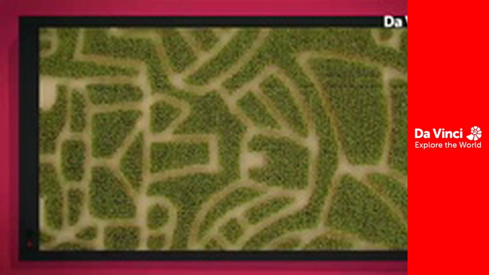 Kto to wie? - Ślimak i ciągnik