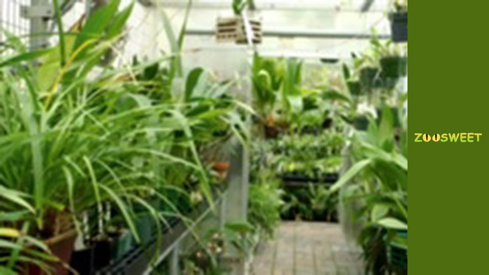 Wild World at the San Diego - episode 11