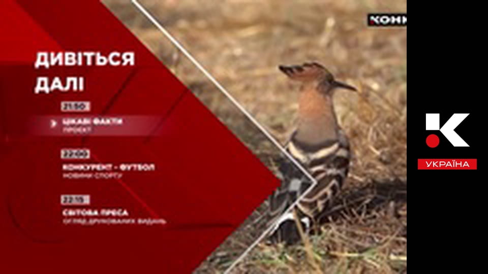 Цікаві факти.