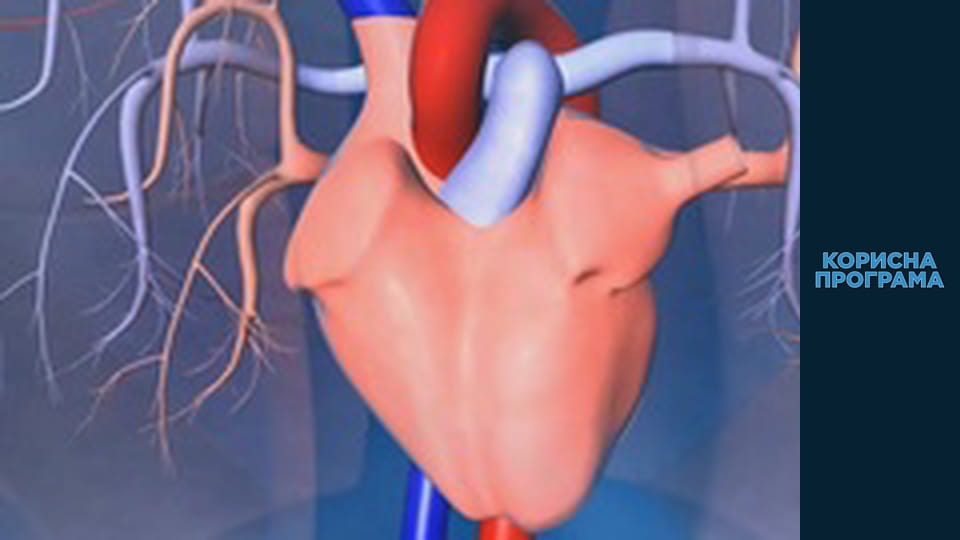 Helpfull program, Season 3, Episode 86