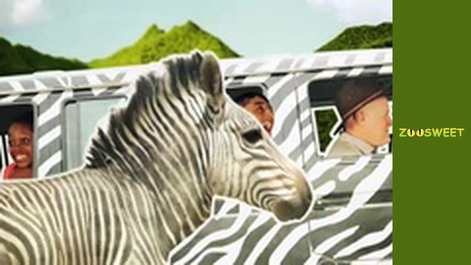 Siaya. Season 2 - episode 12