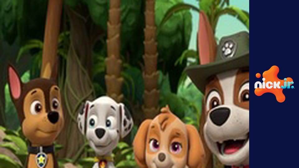 М/с "Щенячий патруль", 10 сезон, 20 с.