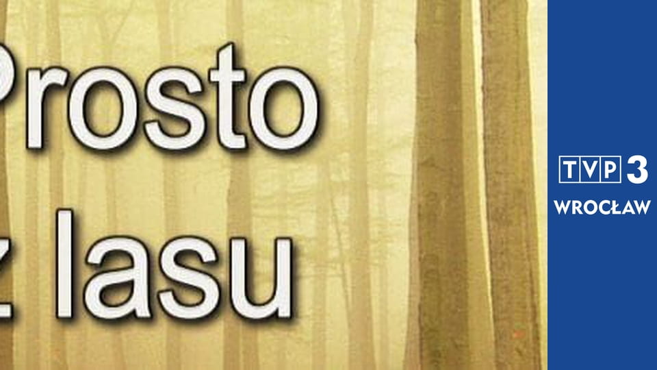 Prosto z lasu