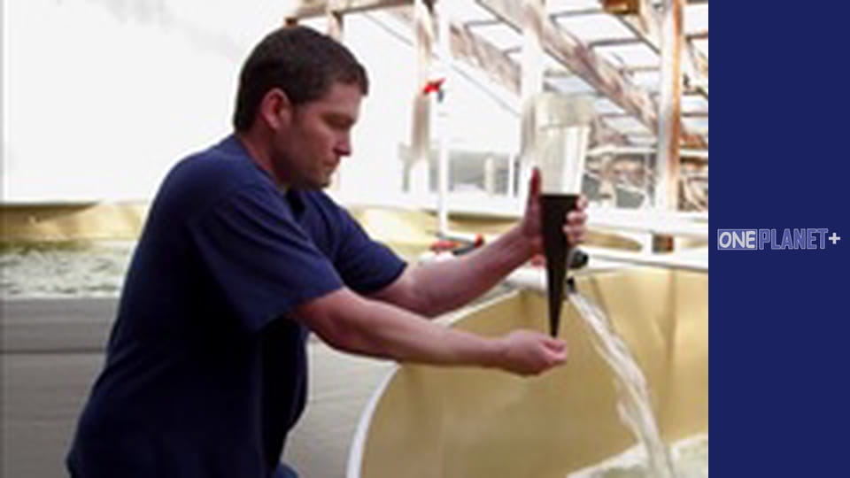 In search of knowledge. - episode 15