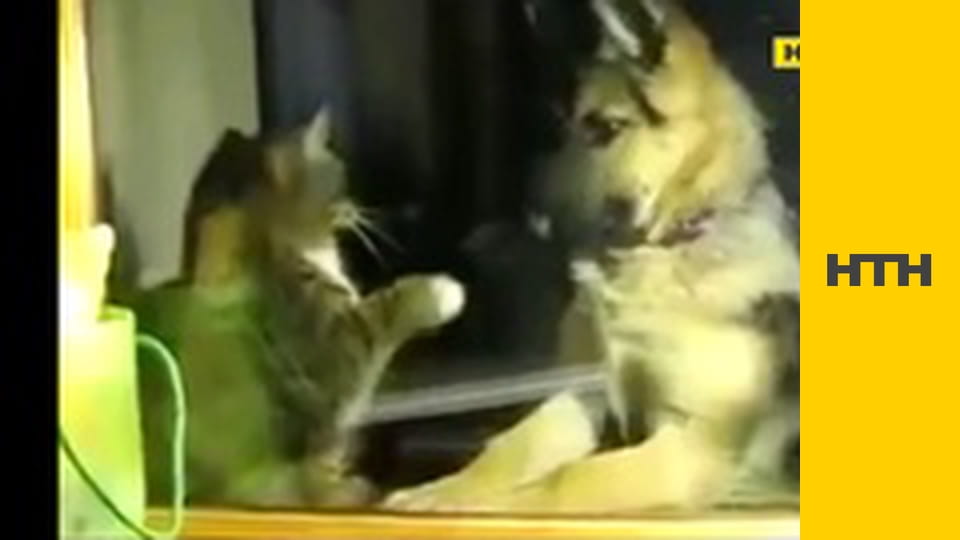 "Правда життя. Професійні байки".