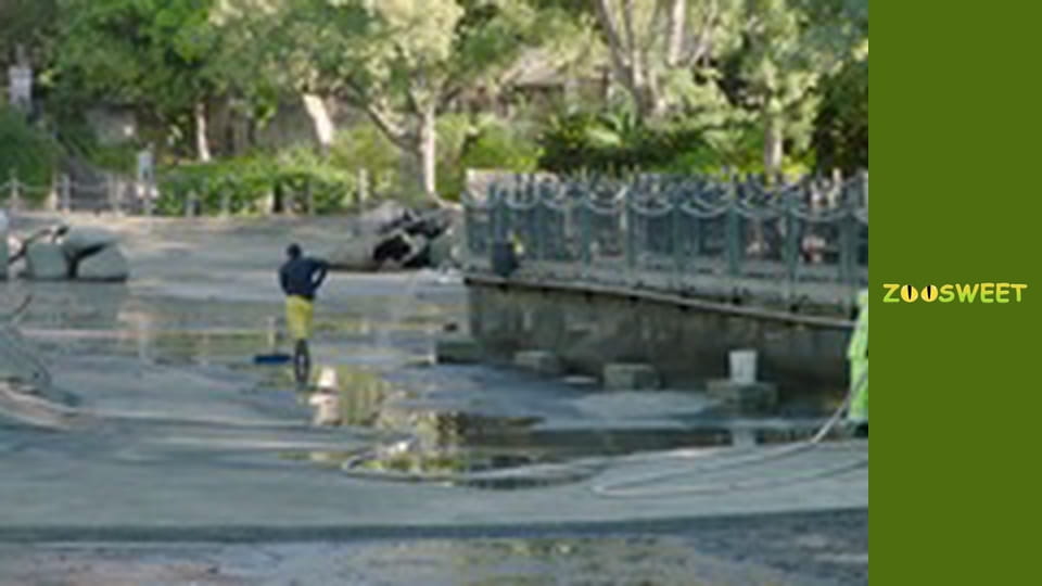 Walking Wild at the San Diego - episode 21