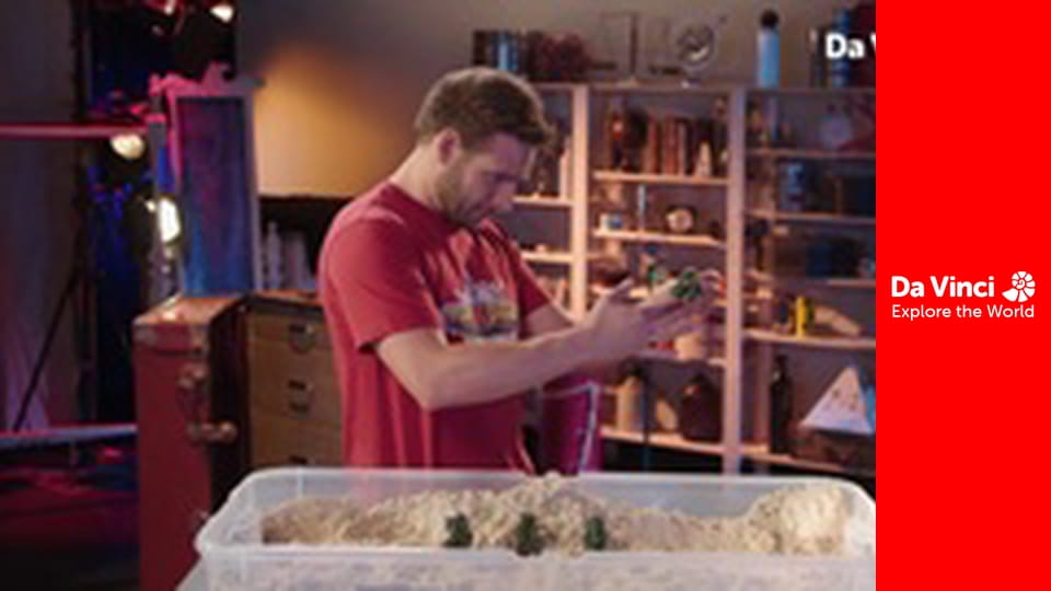 Bombowa matma - Wysokość drzew