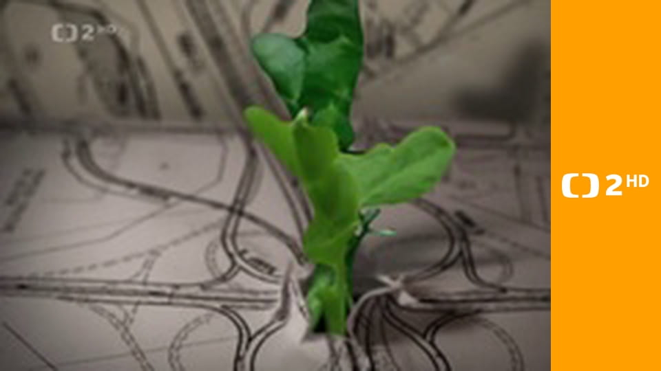 Nedej se - Mučení hlukem