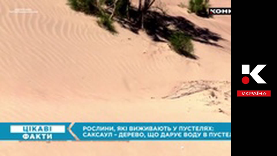 Цікаві факти.