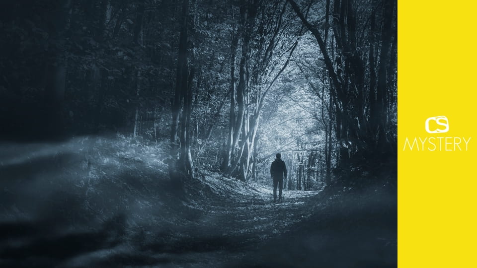 Zmizení Laytona Keddyho