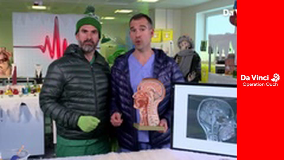 Операція «Ой!» - Слава королю Занду!