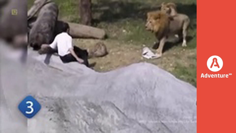 77 TV E11 - Przypadki natury