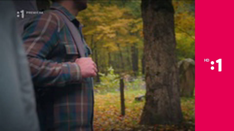 Zvuky domova E12 - Repište