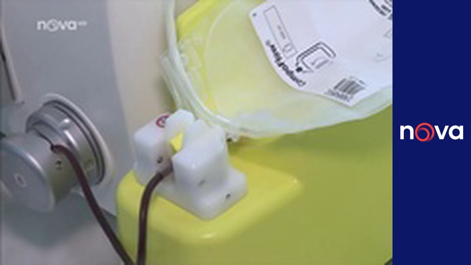 Odpolední Sportovní noviny