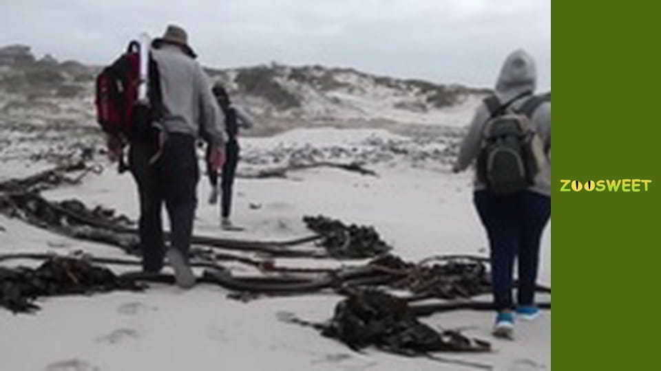 Siaya, Season 3, Episode 2