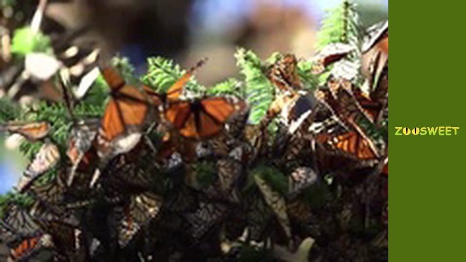 My favorite - episode 11