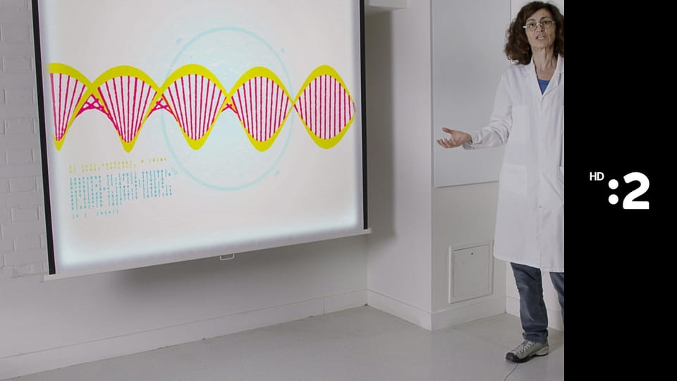 42 - Odpoveď na takmer všetky otázky E1 - Dokážu algoritmy liečiť?