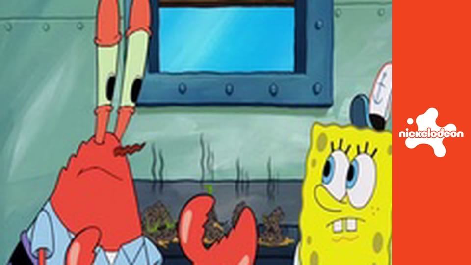 SpongeBob Kanciastoporty S9E192 - Firmowy piknik / Morska opowieść